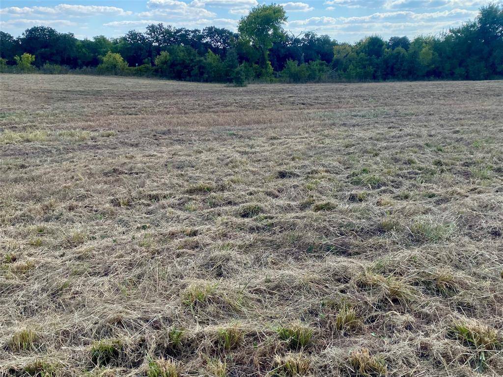 Montague, TX 76251,4678 Fenoglio Road
