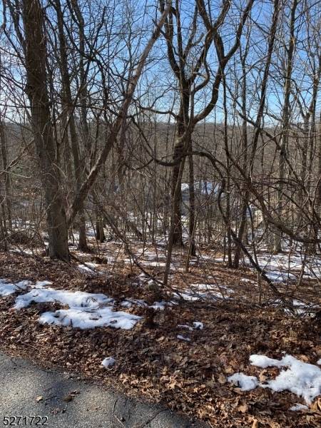 West Milford Twp., NJ 07421,43 Hampton Rd