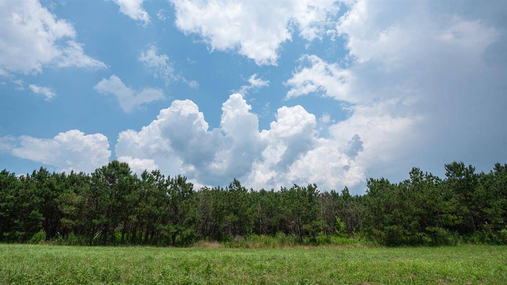 Hawkins, TX 75765,473 CR 3390