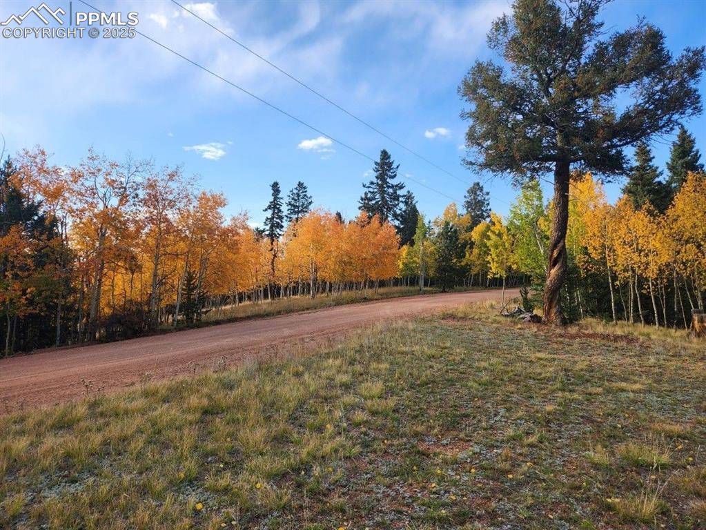 Cripple Creek, CO 80813,2652 YORKTOWN RD