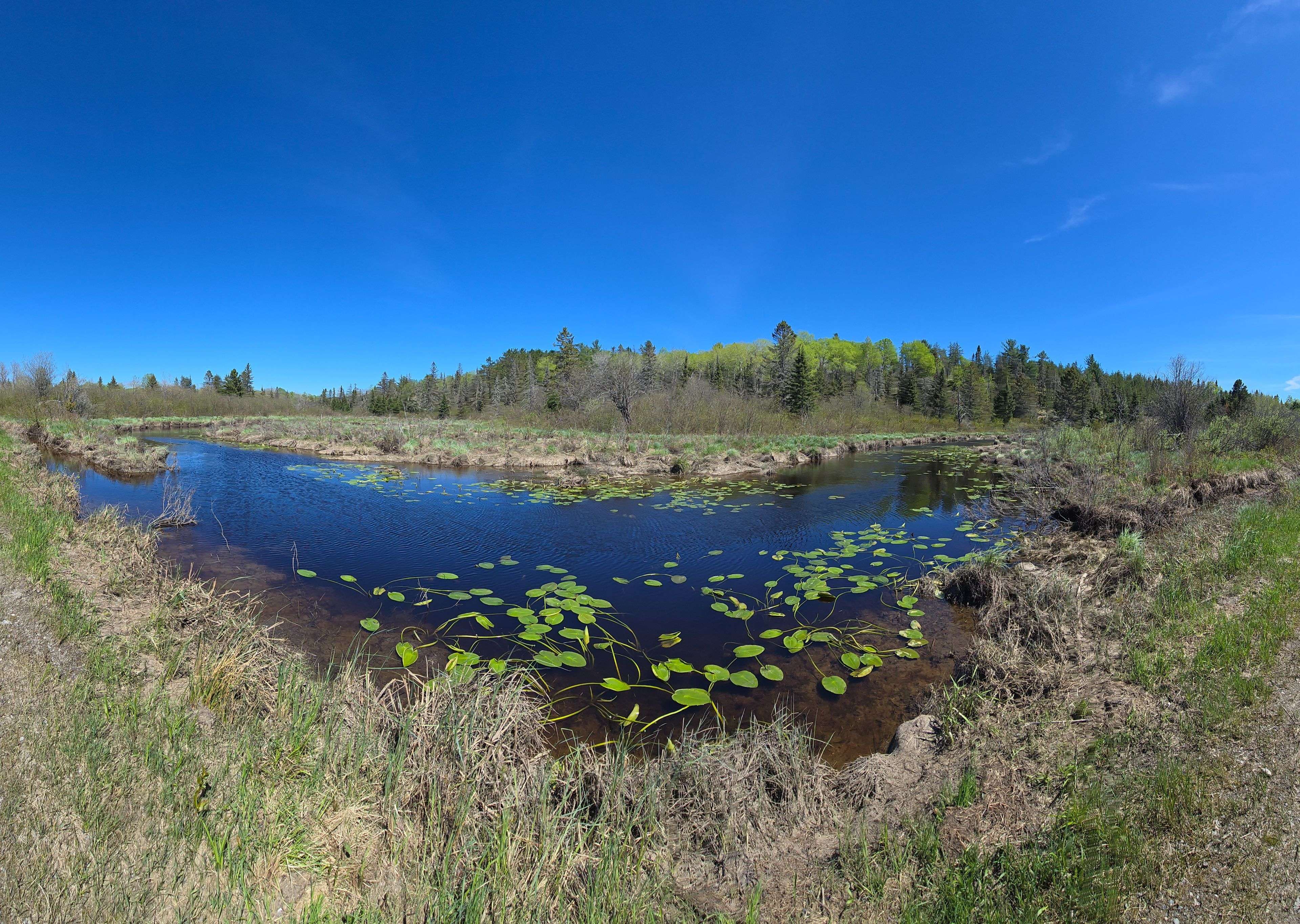 West Nipissing, ON P0H 2M0,114 De La Montee RD
