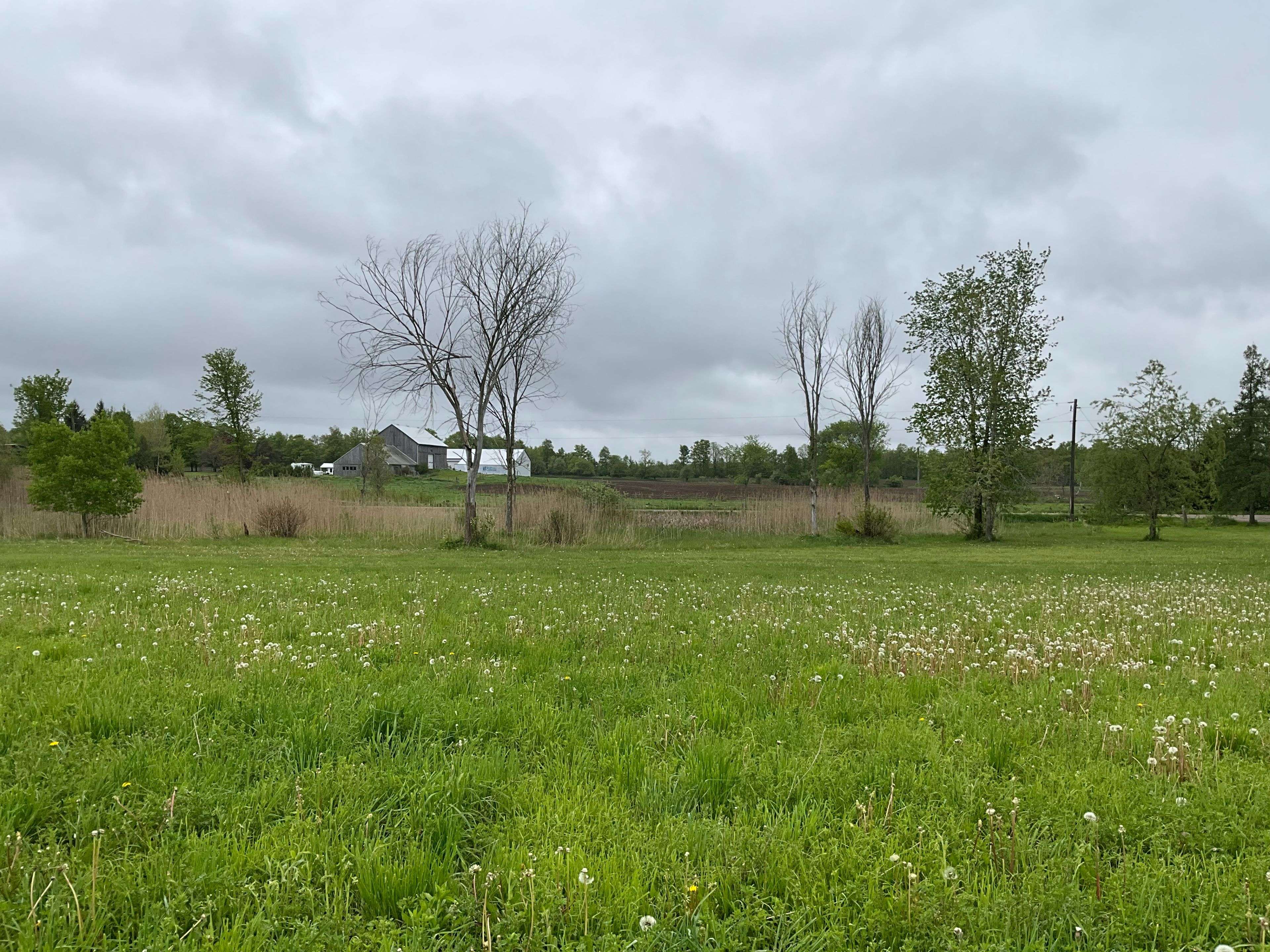 Erin, ON N0B 2K0,5169 First Line