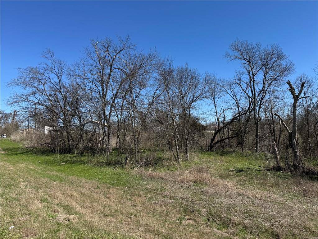 Lott, TX 76656,Lot 6 Hwy 77