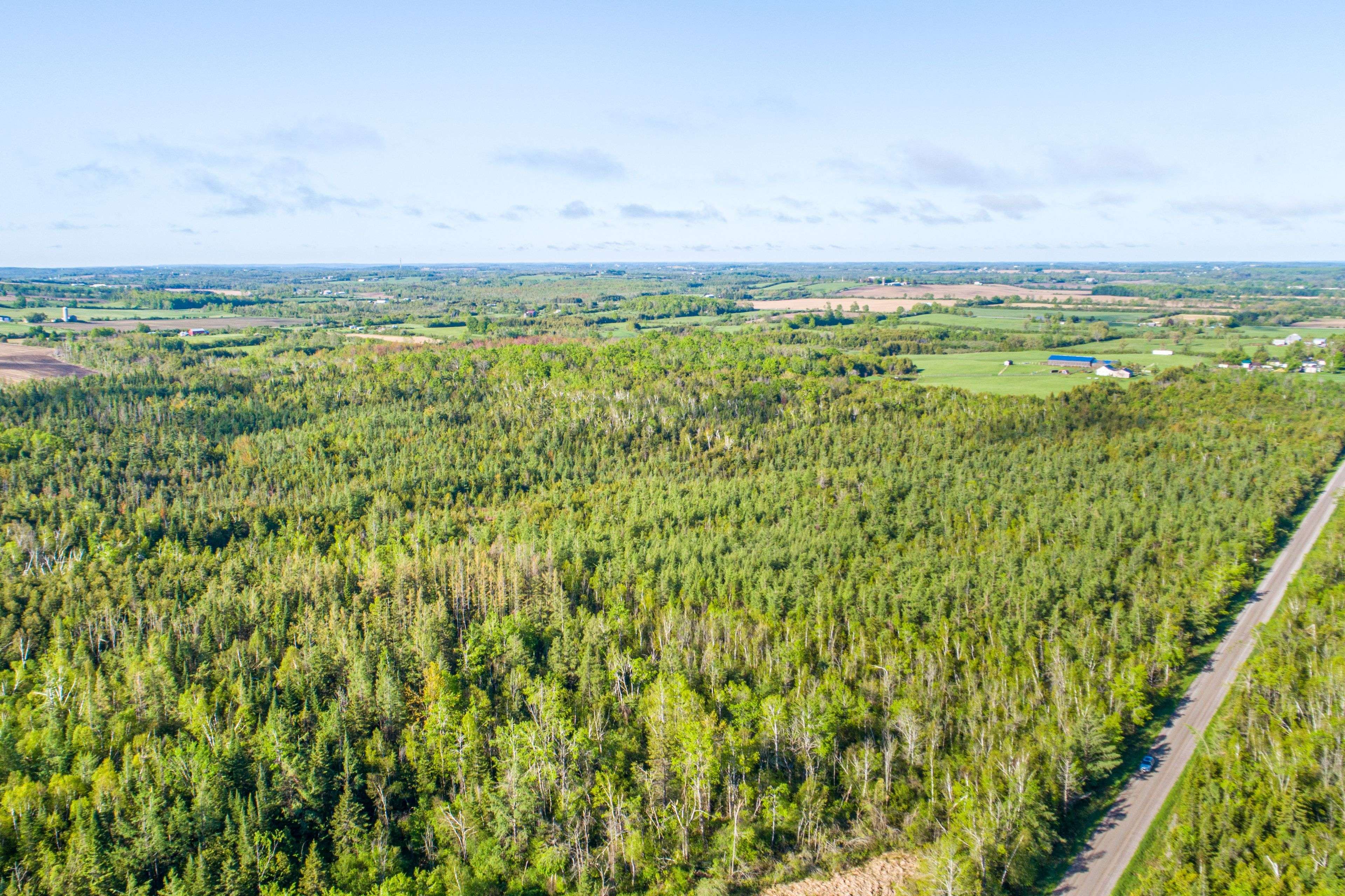 Kawartha Lakes, ON K0M 2C0,Lot 3 Black School RD