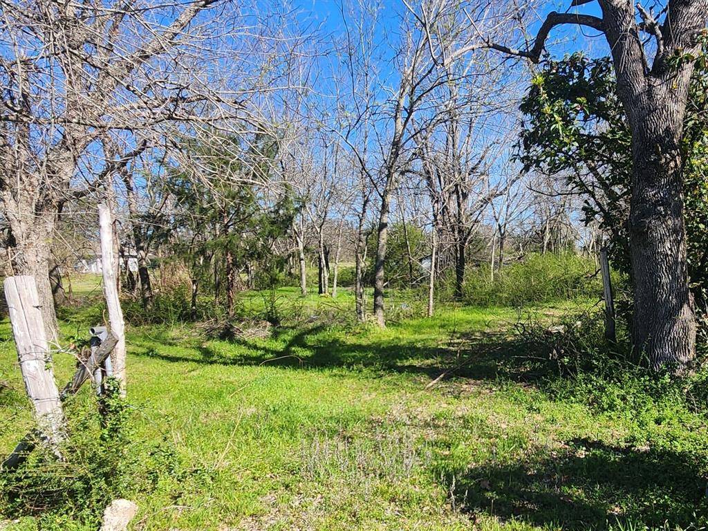 Terrell, TX 75160,507 Mineral Wells Street