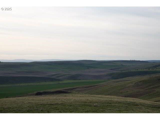 Enterprise, OR 97828,0 Ant Flat RD