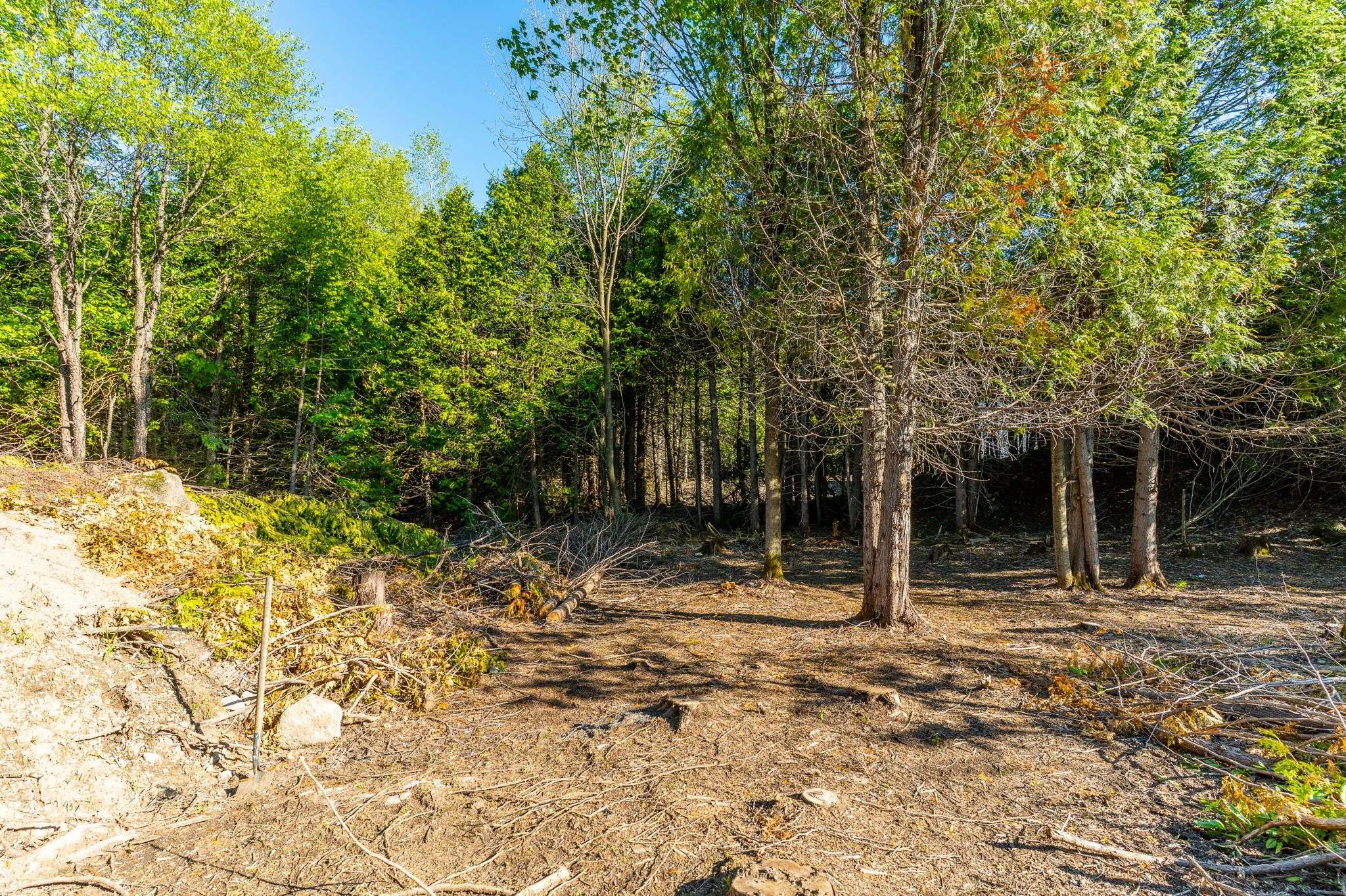 Chatsworth, ON N0H 1R0,LT 15 Confederation DR