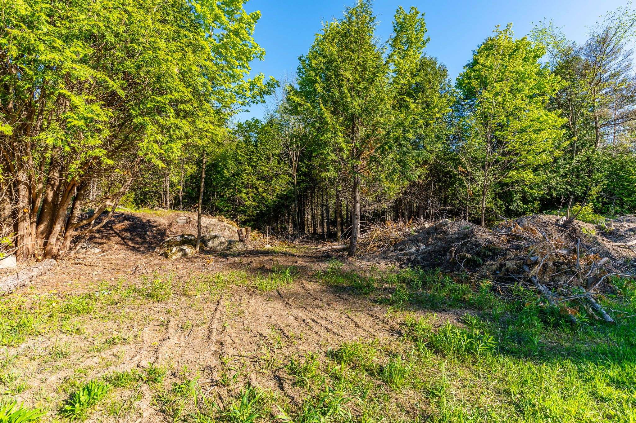 Chatsworth, ON N0H 1R0,LT 15 Confederation DR