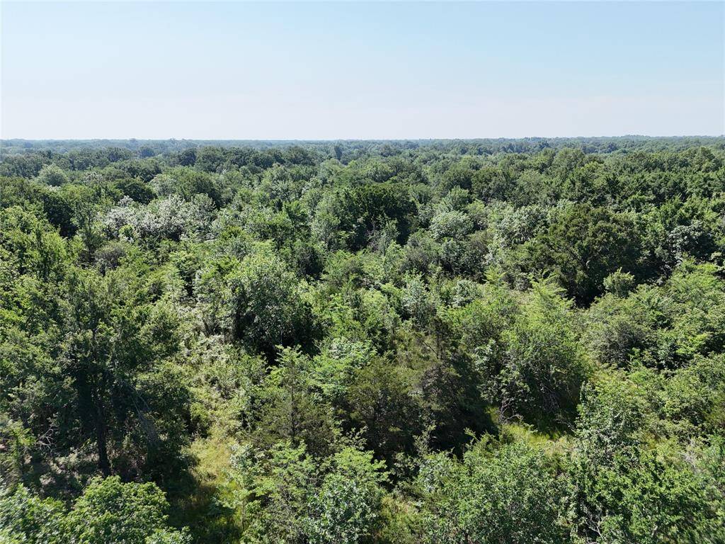 Hagansport, TX 75487,0010 Highway 37