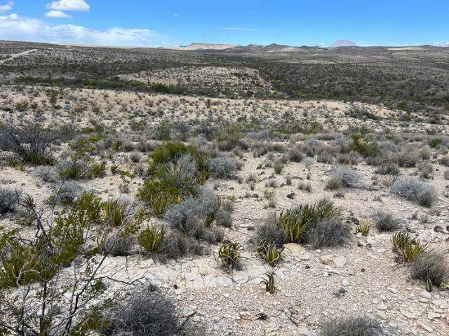 Terlingua, TX 79852,21231 Slate SPGS