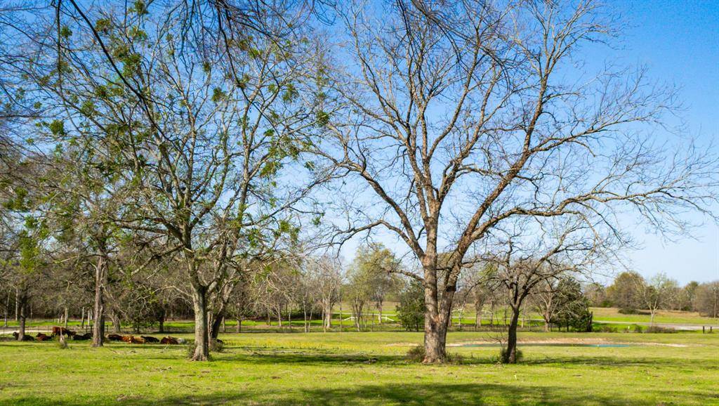 Mexia, TX 76667,141 Lcr 405