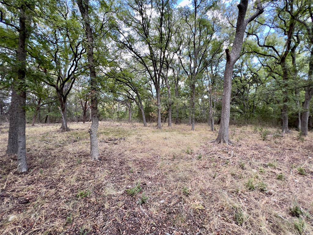 Gatesville, TX 76528,tbd Cedar Mountain Road