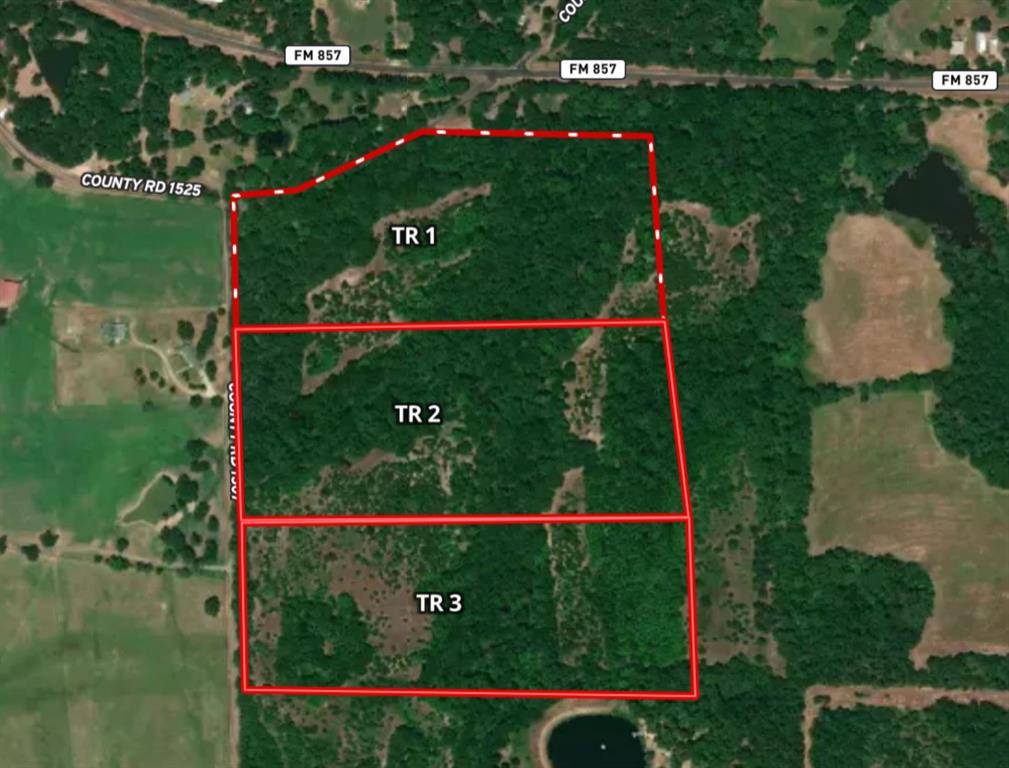 Grand Saline, TX 75140,Tract 2 TBD VZCR 1507