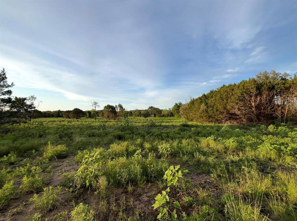 Hico, TX 76457,TBD Hwy 220 Tract 6