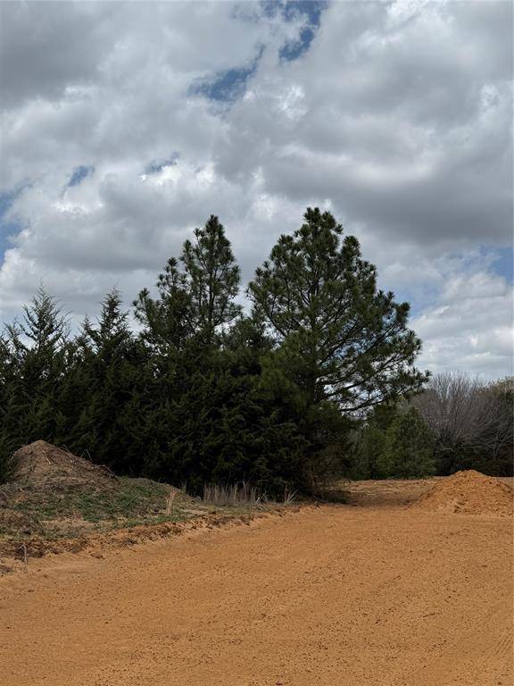 Coyote Flats, TX 76031,3552 FM 3136 LOT 4