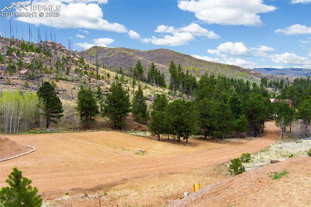 Woodland Park, CO 80863,13990 S Highway 67