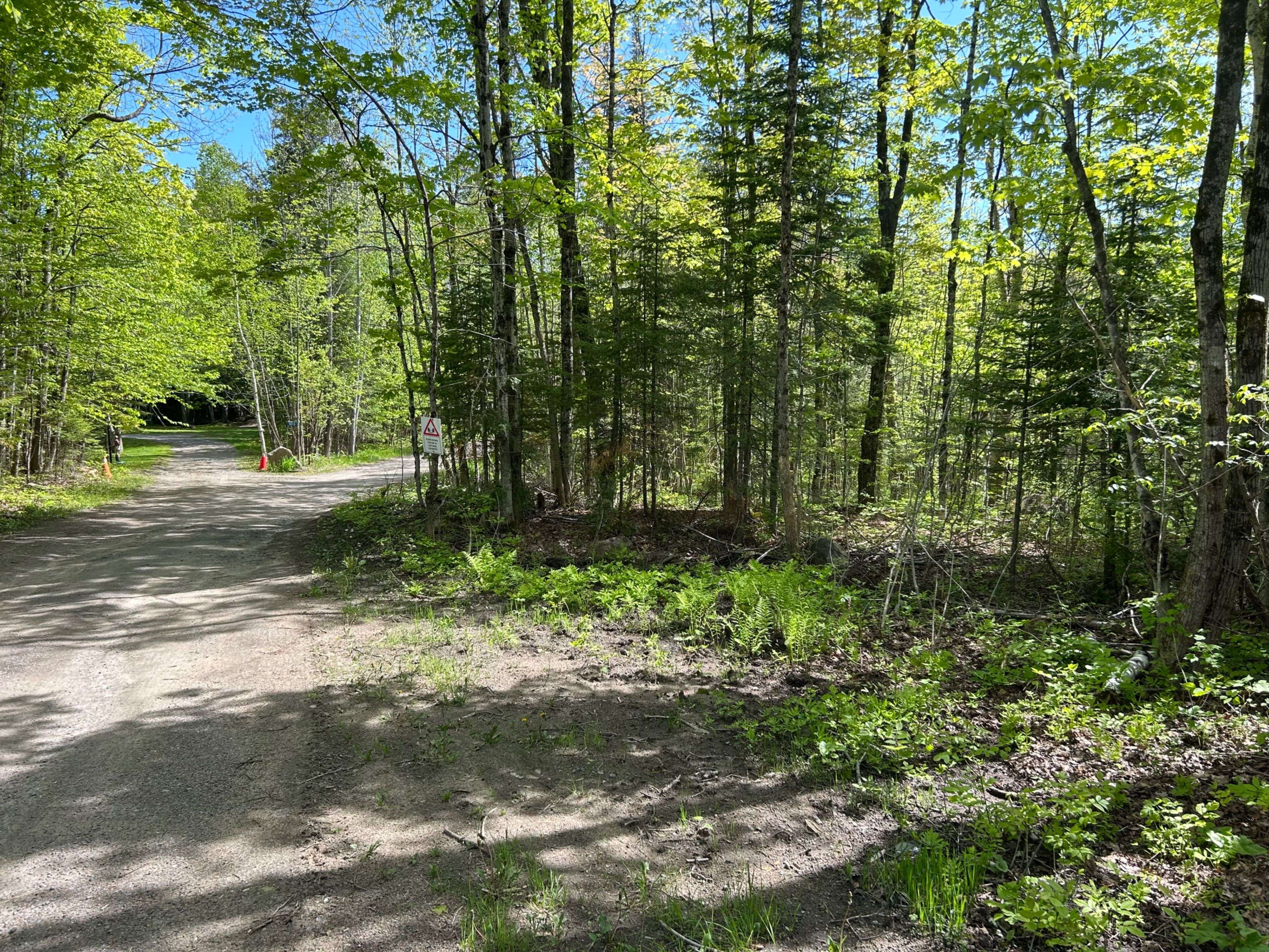 Minden Hills, ON K0M 2K0,0 Sharon Lake DR