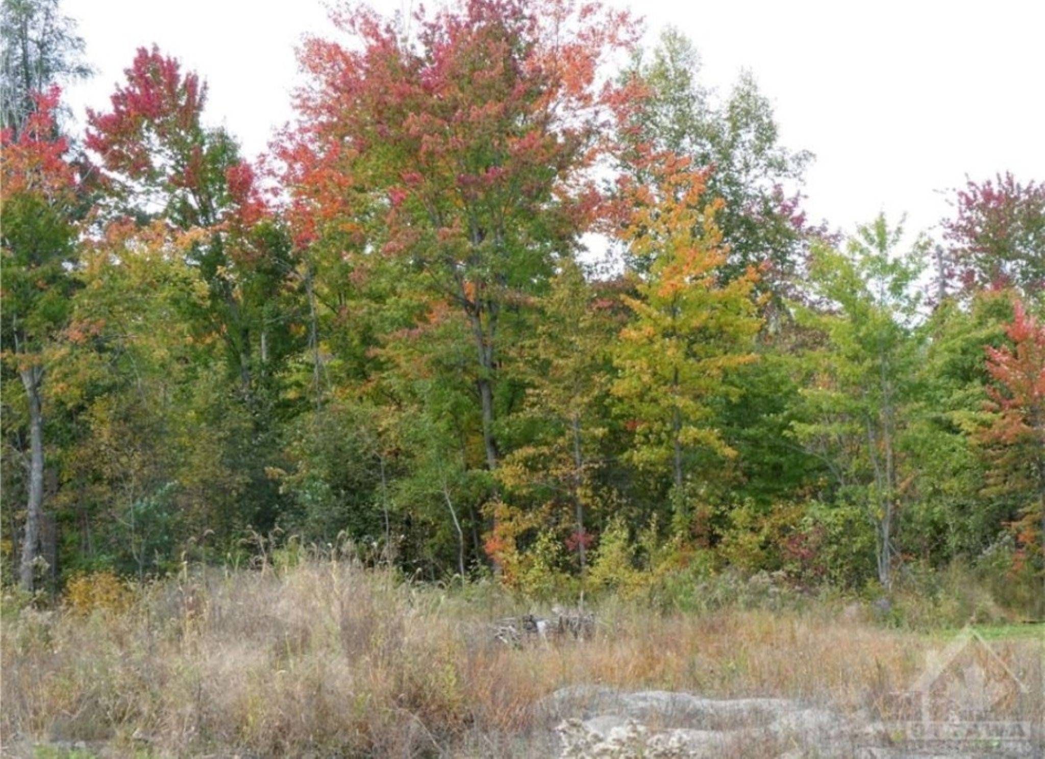 Clarence-rockland, ON K0A 1N0,282 Roxanne ST