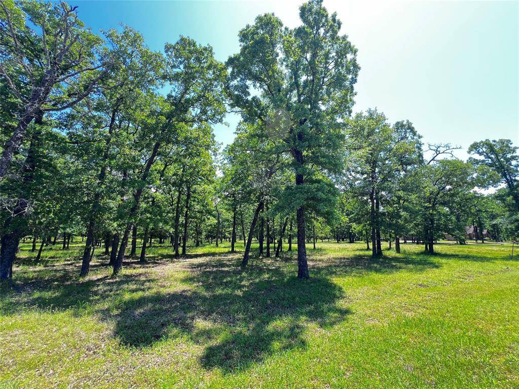 Malakoff, TX 75148,0 TBD Indian Springs