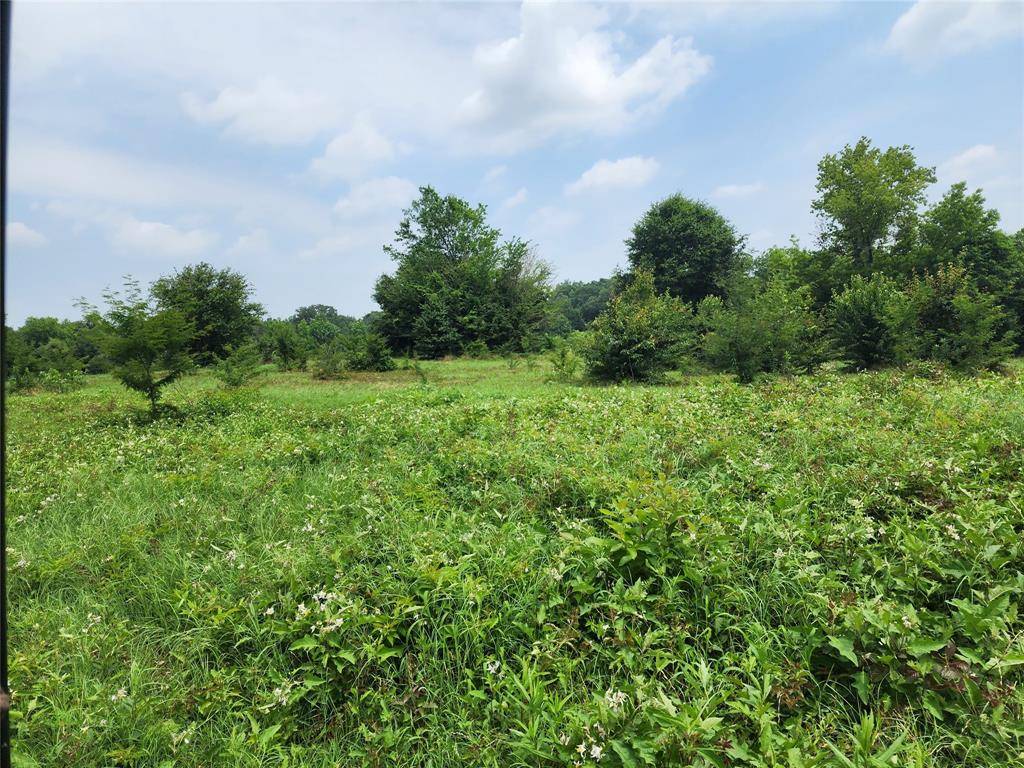 Mineola, TX 75773,0001 S Hwy 69