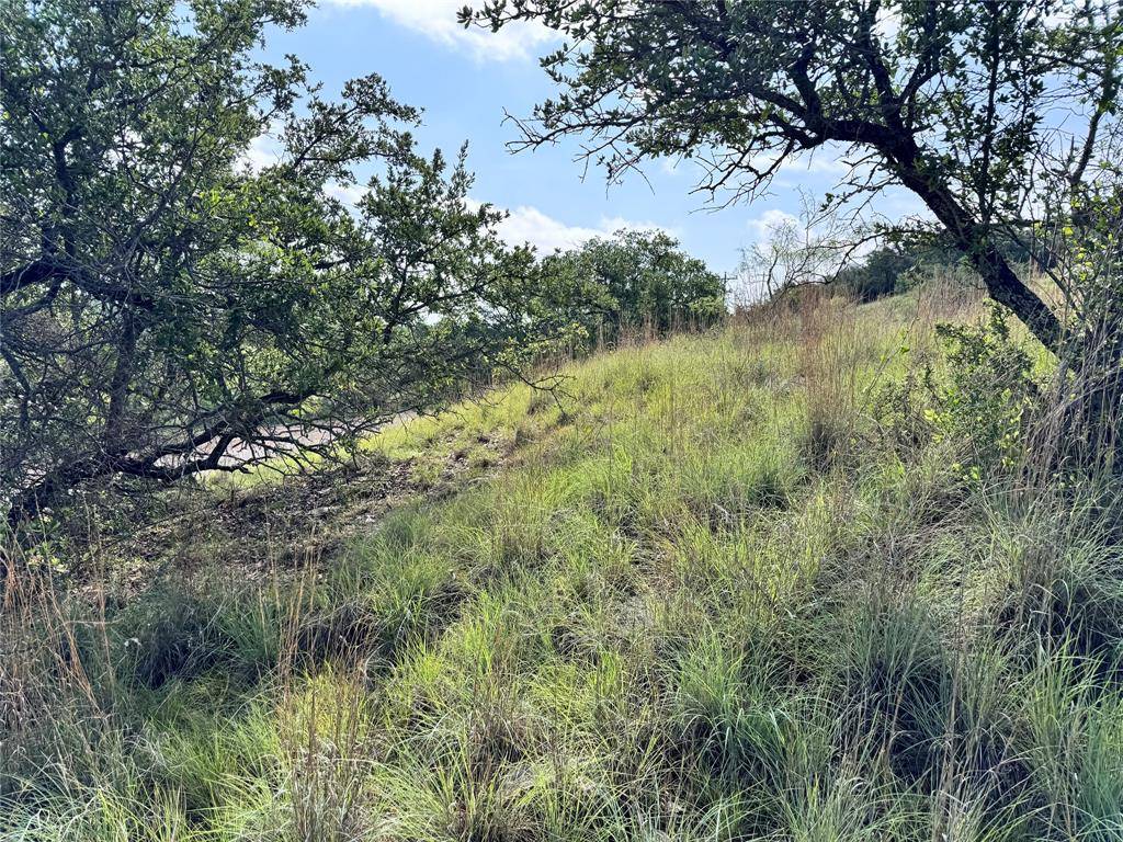May, TX 76857,TBD Lot 479 Oak Point Drive
