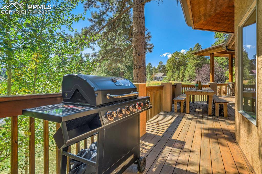 Woodland Park, CO 80863,1301 Masters DR