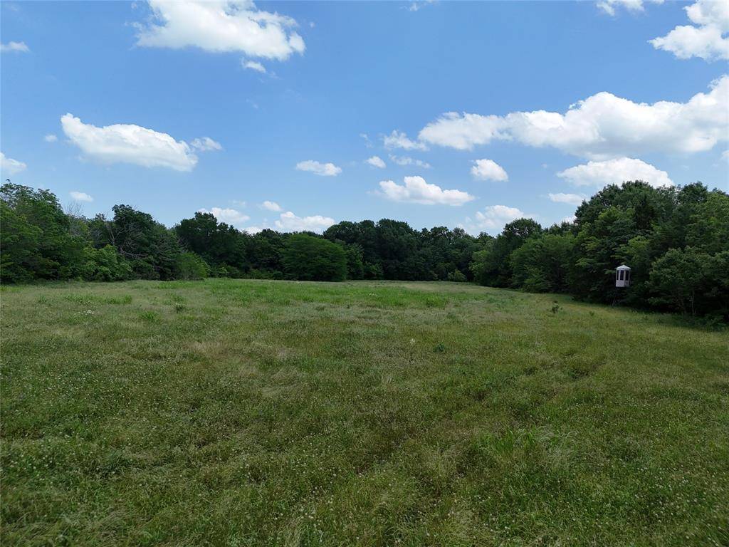 Honey Grove, TX 75446,11 TBD CR2770 CR 2770