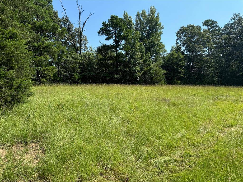 Winnsboro, TX 75494,00 Couty Road 4426