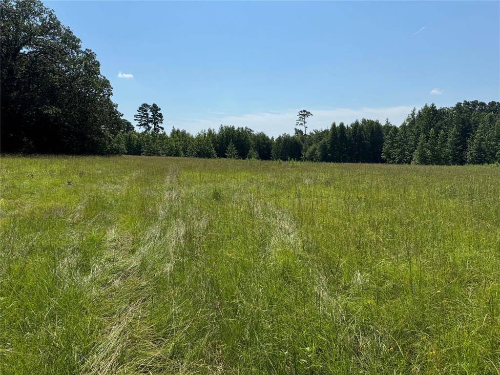 Winnsboro, TX 75494,00 Couty Road 4426