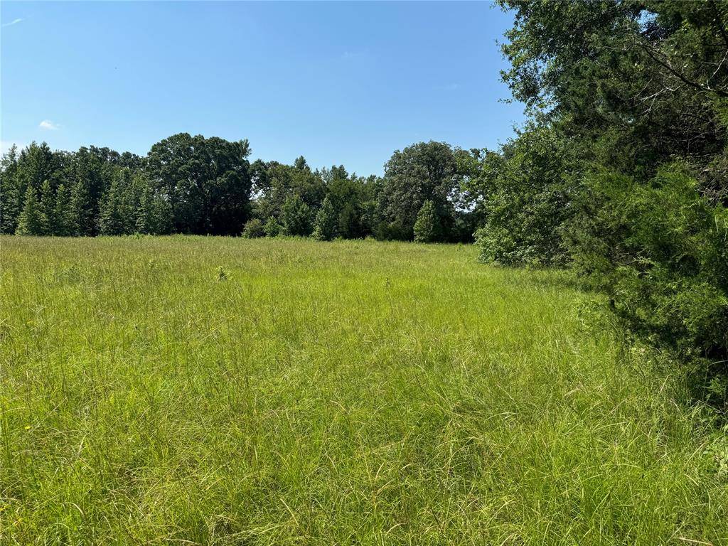 Winnsboro, TX 75494,00 Couty Road 4426