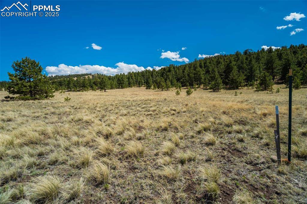 Guffey, CO 80820,128 Nancy Ann Arroyo