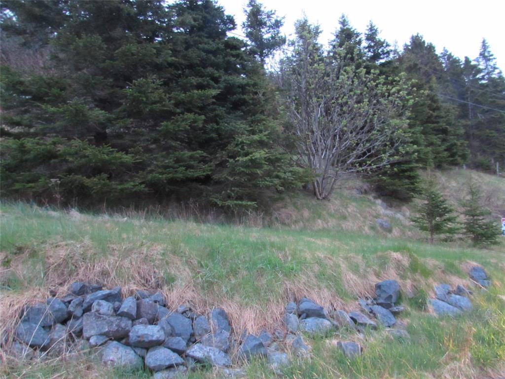 46-56 Goat Shore Road, Avondale, NL A0A 1B0