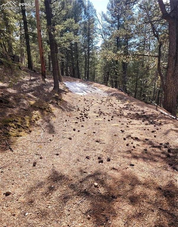 Divide, CO 80814,329 Paradiso RD
