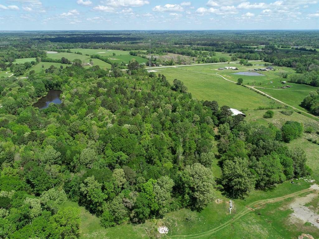 Carthage, TX 75633,0 US Highway 79