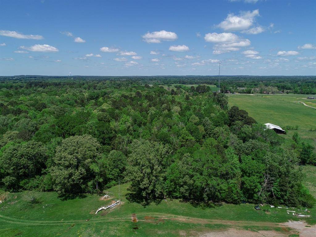 Carthage, TX 75633,0 US Highway 79