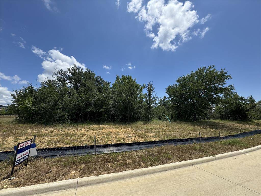 Frisco, TX 75034,947 Lilac Lane