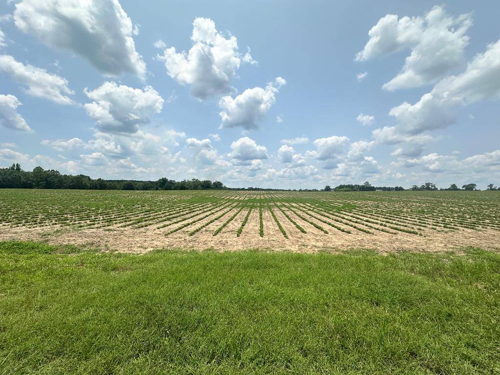 Dothan, AL 36305,10 Acres Lot 2 J Saunders