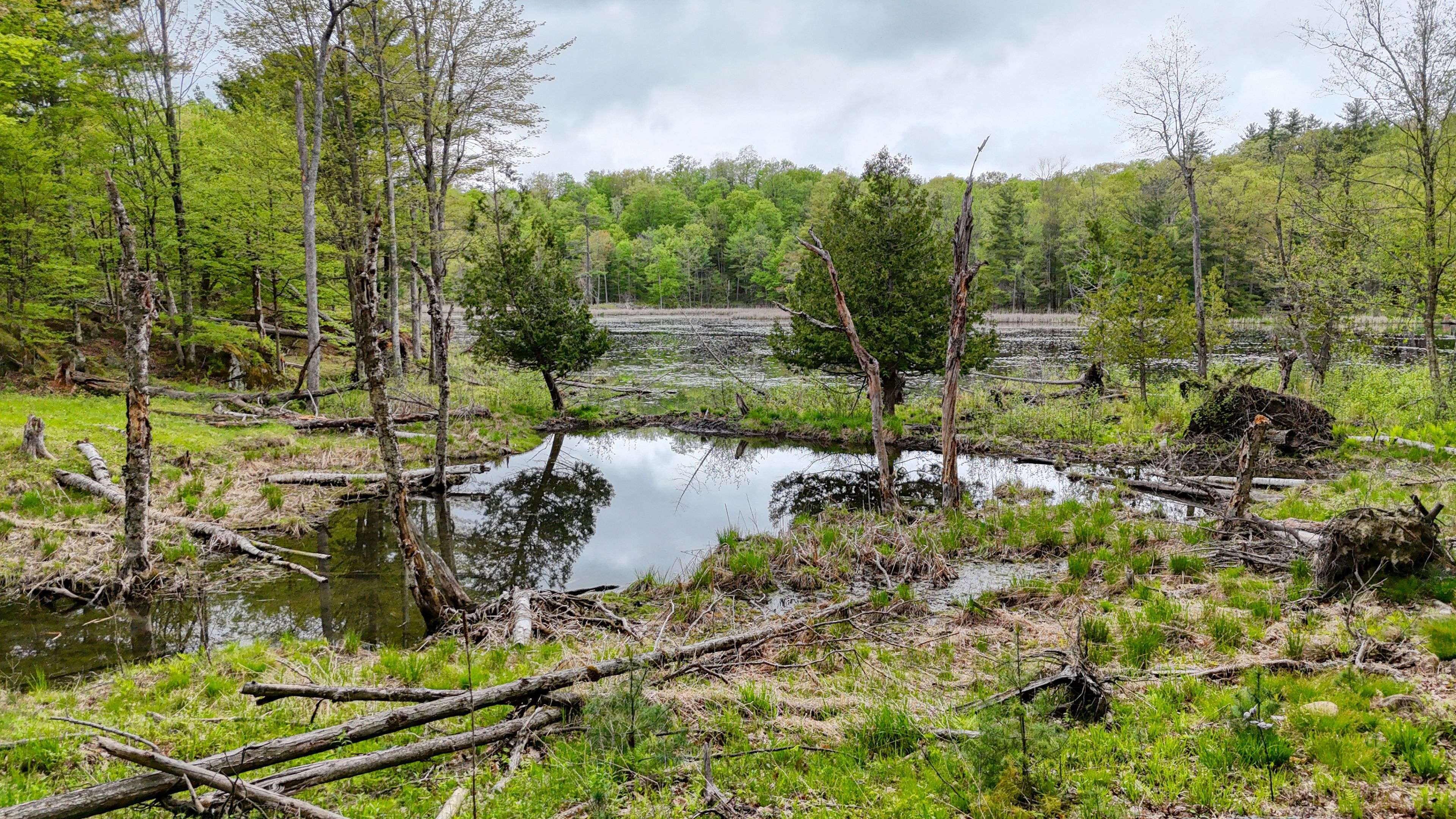 Rideau Lakes, ON K0G 1E0,PART LOTS 10 AND 11 RITZ RD
