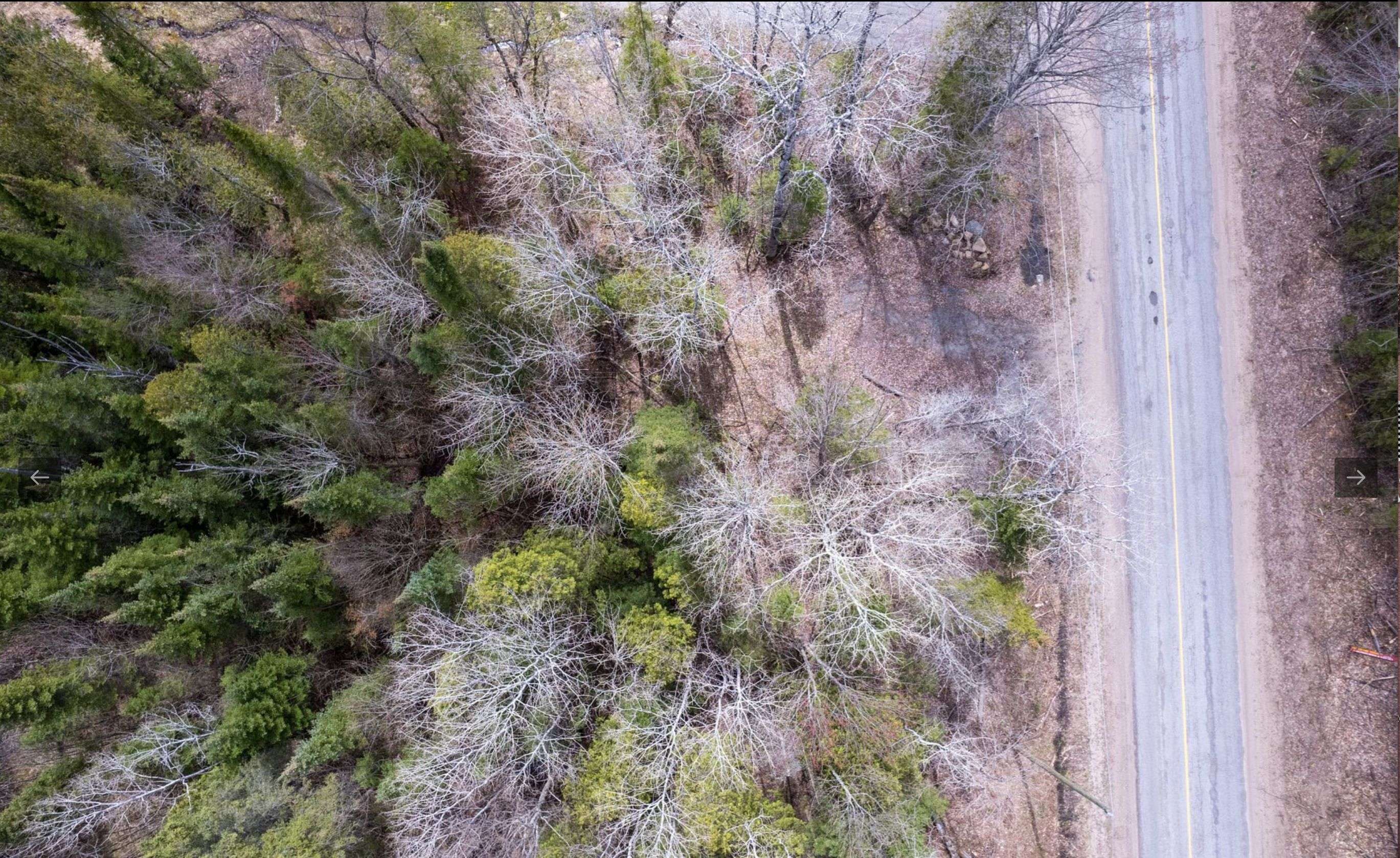 Hastings Highlands, ON K0L 1C0,1755 South Baptiste Lake RD