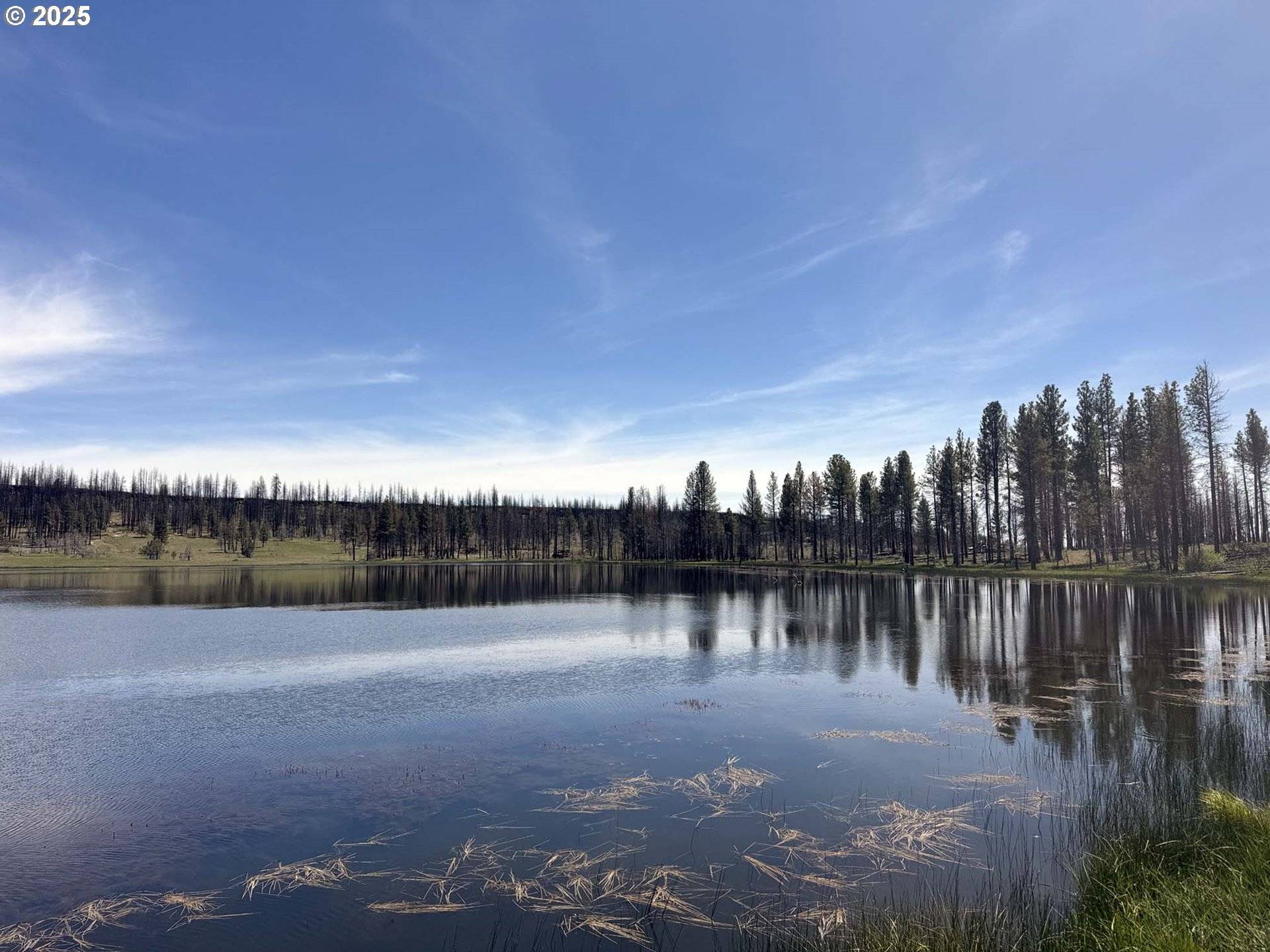 Off-Hicks Road #Lot 3, Bly, OR 97622