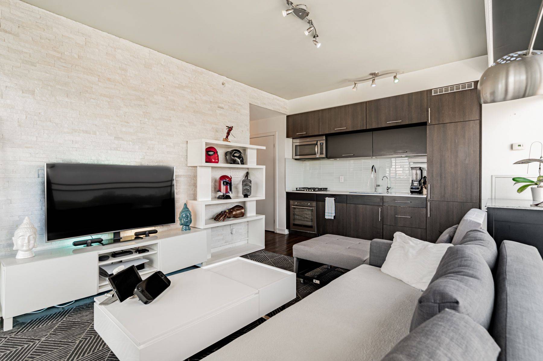 Toronto C01, ON M6J 0E2,205 Manning AVE #415