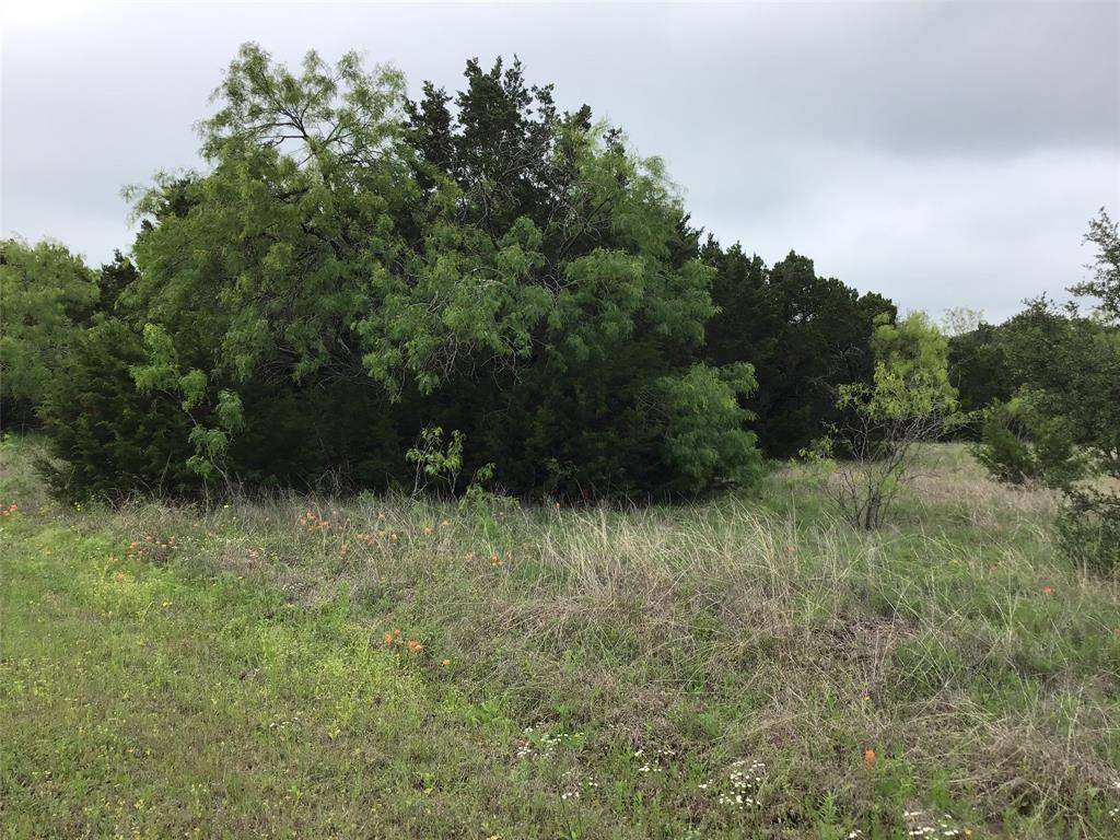 Whitney, TX 76692,44163 High Crest Drive