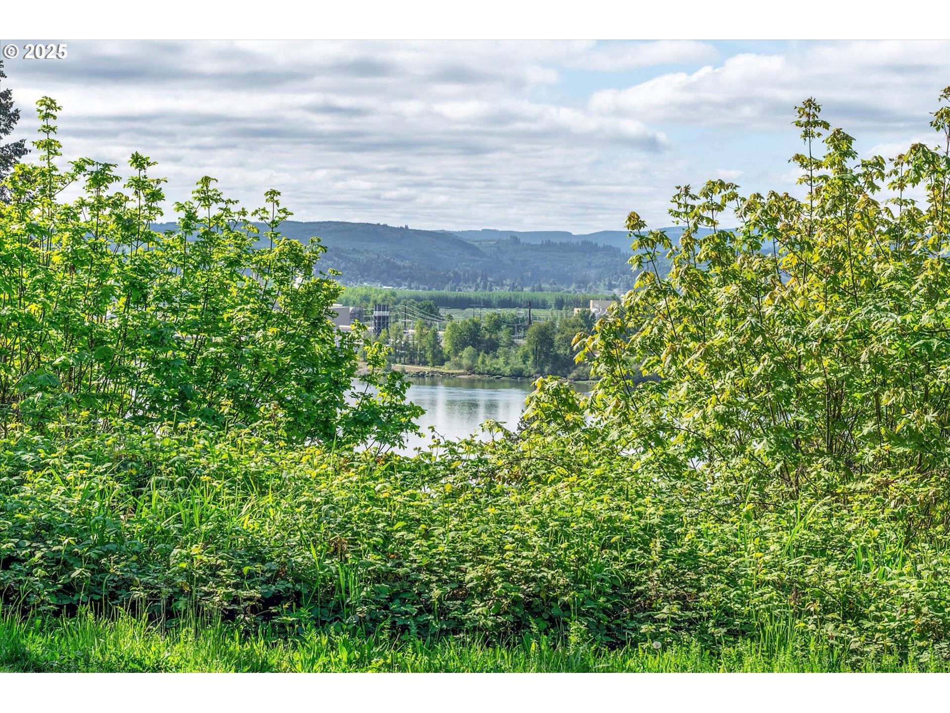 Longview, WA 98632,Mill Falls LN