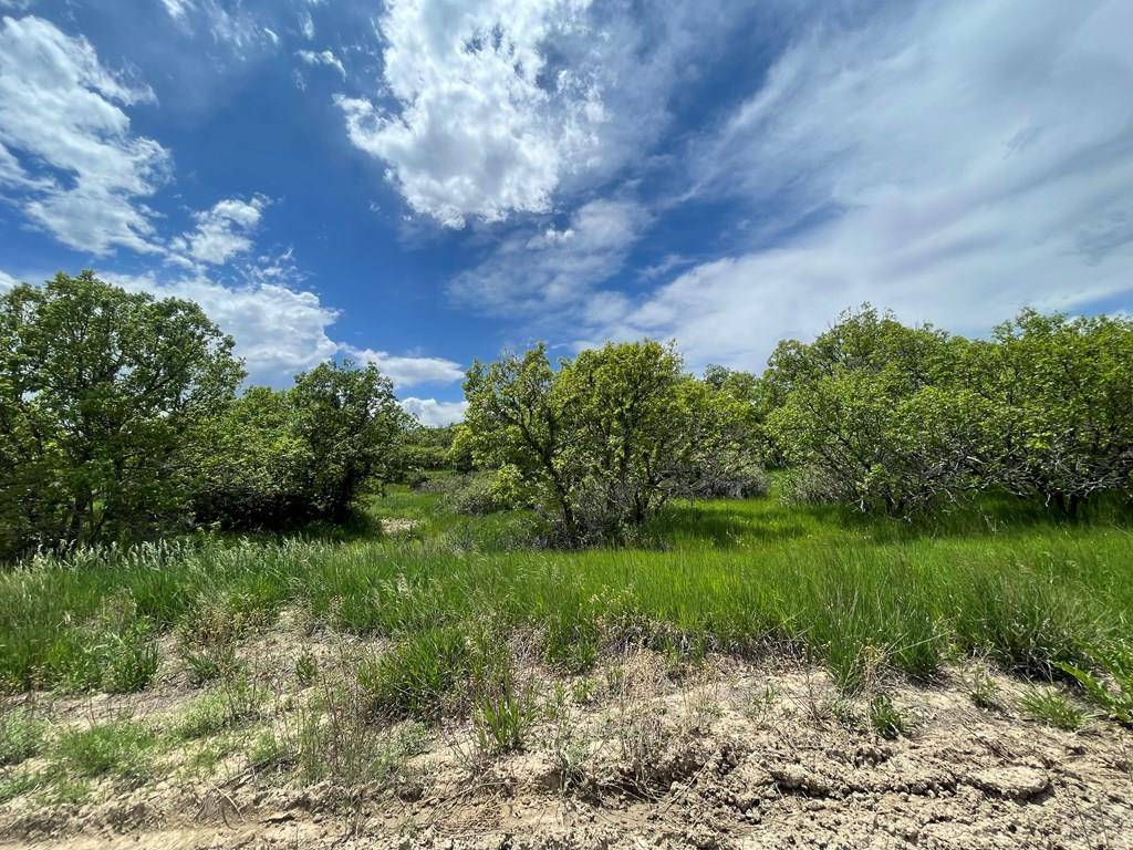 Colorado City, CO 81019,0 Big Bend