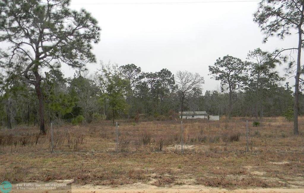 Hawthorne, FL 32640,141 Lake Galilee Dr