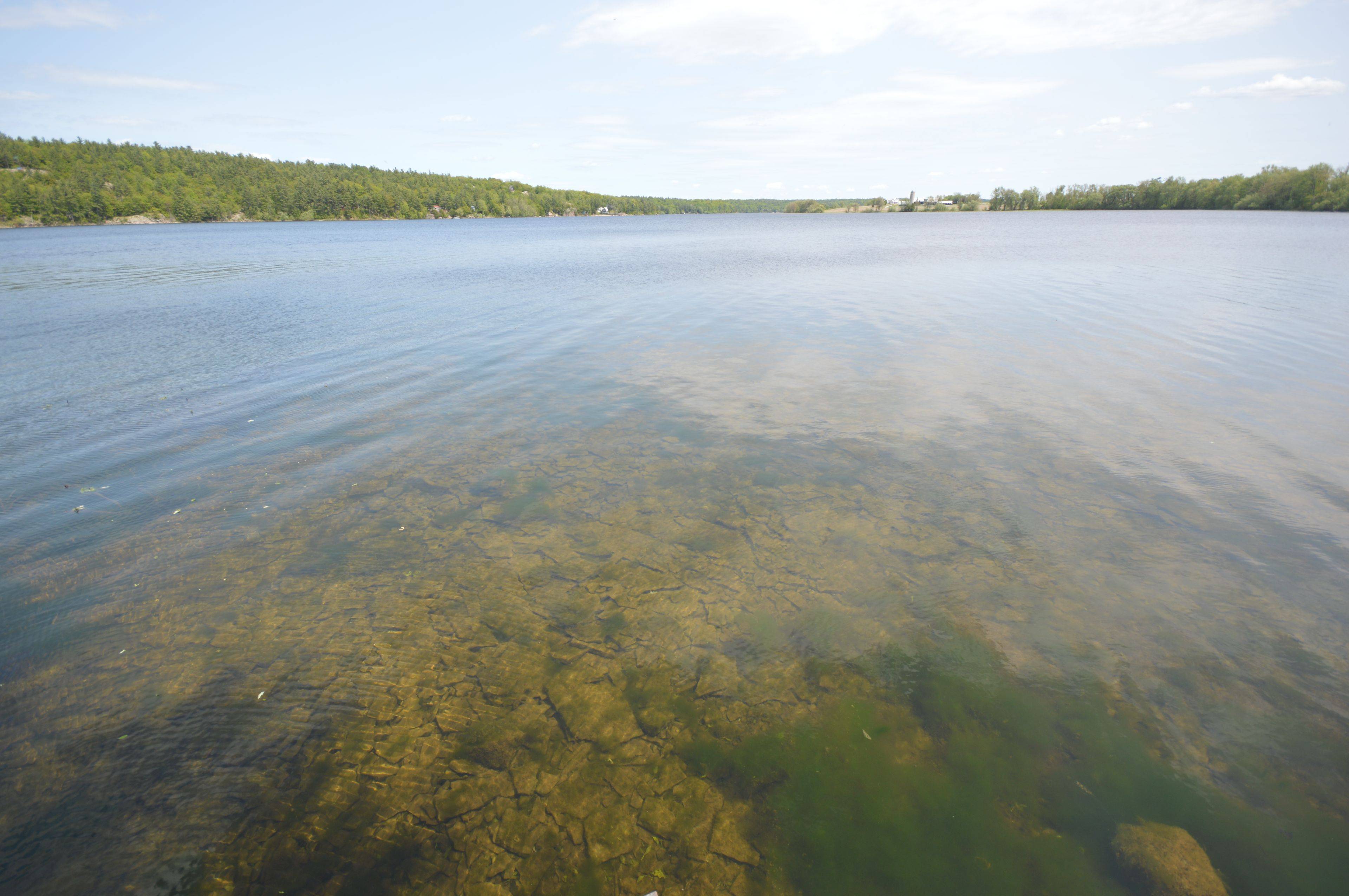 Whitewater Region, ON K0J 0A6,00 Faught RD