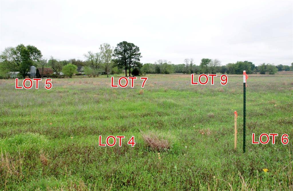 Winnsboro, TX 75494,Lot 7 County Road 4286