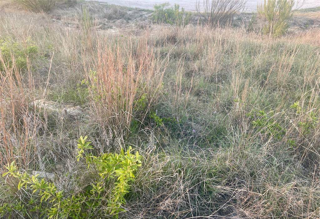 Possum Kingdom Lake, TX 76449,Lot616 Caprock Court