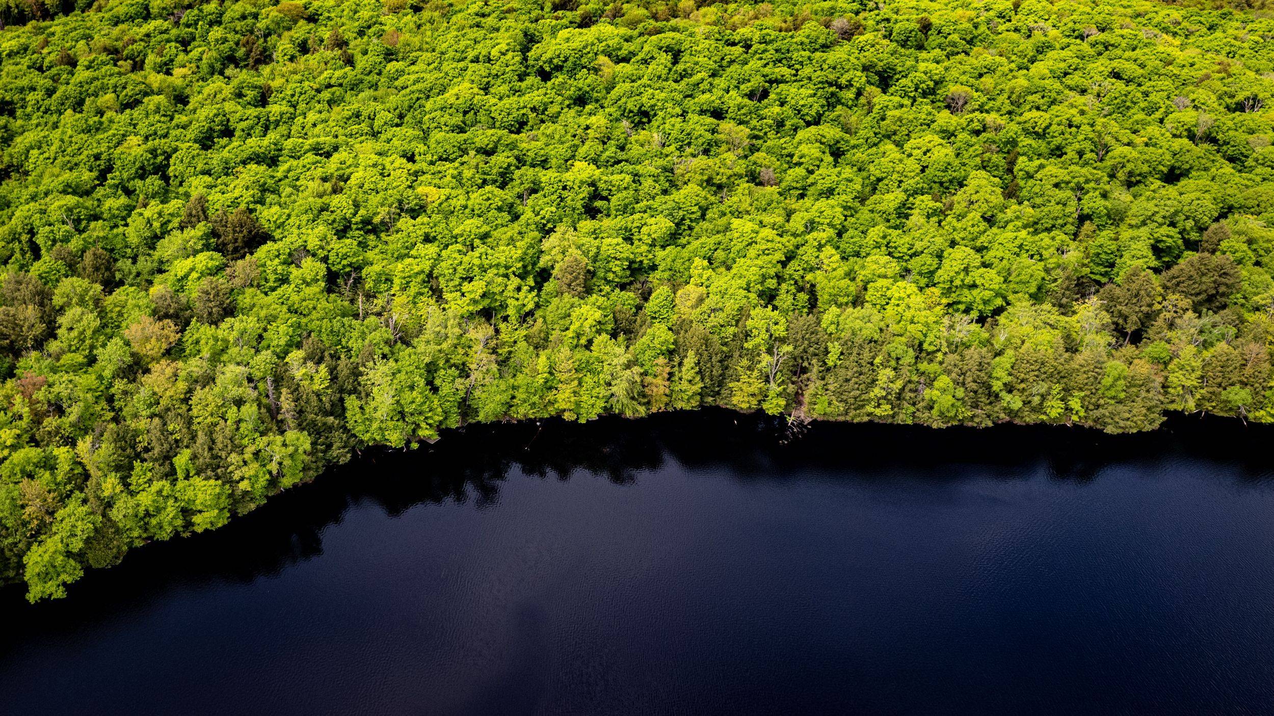 Muskoka Lakes, ON P1L 1X4,1310 Camel Lake RD #Unit 13 Lot 6