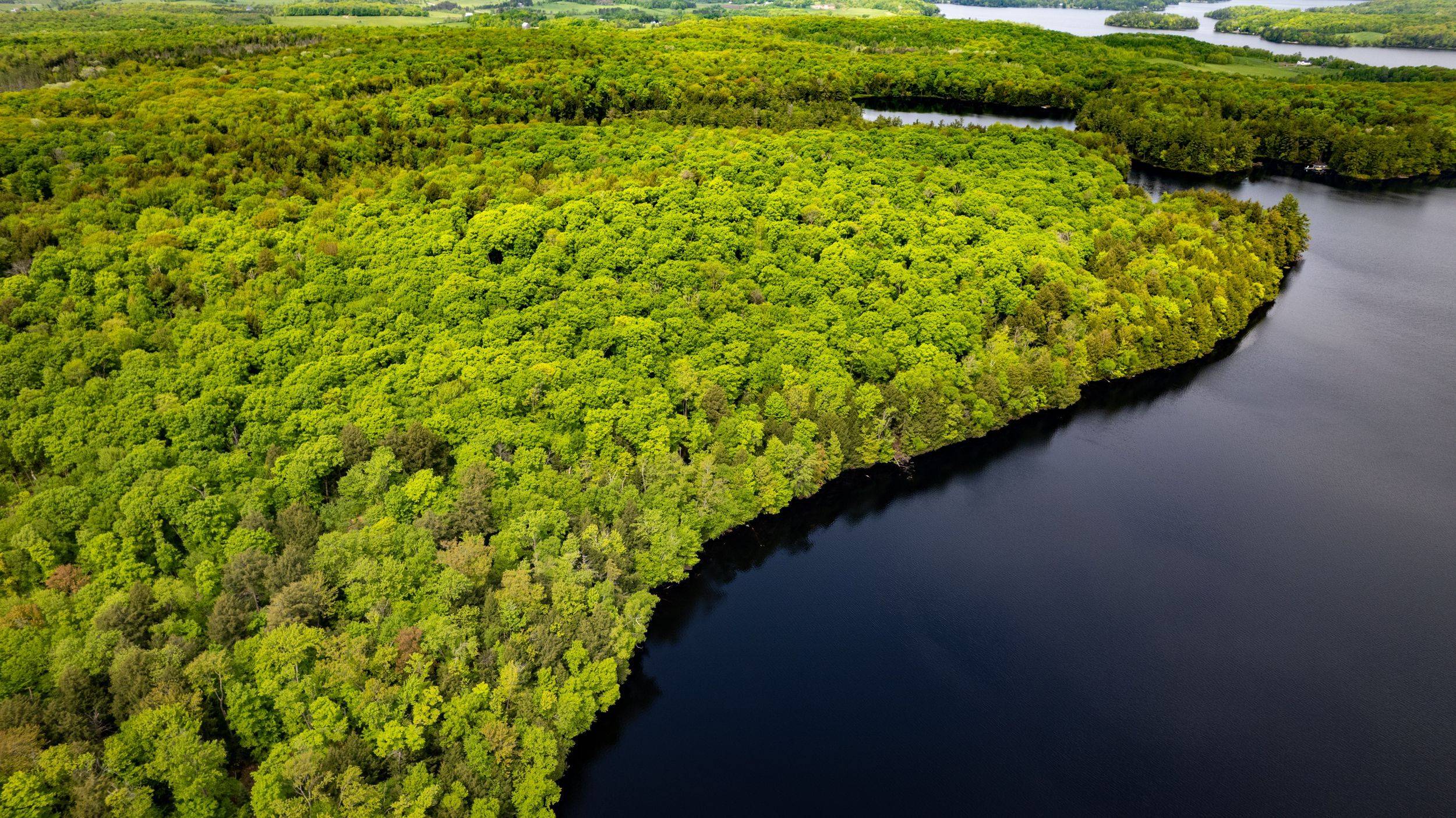 Muskoka Lakes, ON P1L 1X4,1310 Camel Lake RD #Unit 13 Lot 6